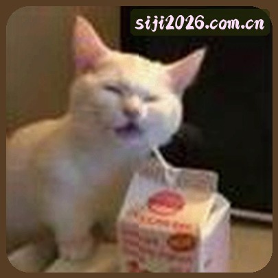 王磊